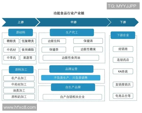 飞盘热潮下的北京飞盘队运营模式与发展策略分析